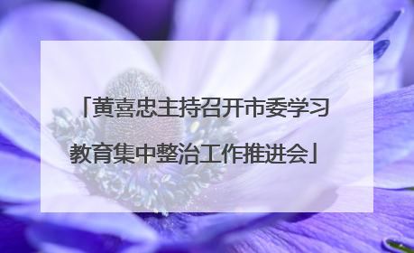 黄喜忠主持召开市委学习教育集中整治工作推进会